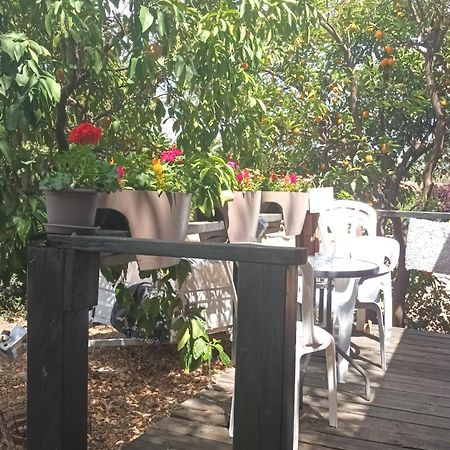 A Fun Holiday In The Galilee Sede Eli'ezer Buitenkant foto