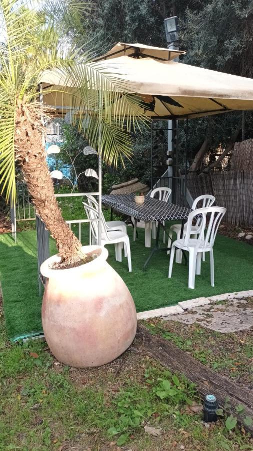 A Fun Holiday In The Galilee Sede Eli'ezer Buitenkant foto